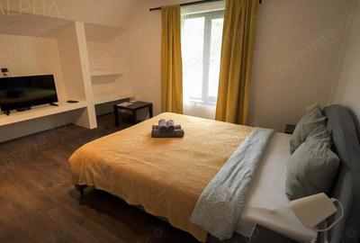 Spațiu comercial, de 390 mp, în Colibița - 5