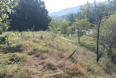 Teren de 4183 mp, în Bârlogu - 4