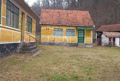 Casă cu Teren 6400 Mp în Zam - 2