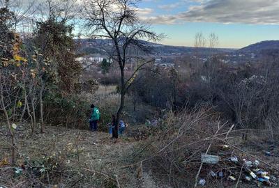 Teren de 4200 mp, în Poiana - 6