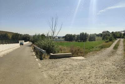 Teren de 3500 mp, în Moara - 5