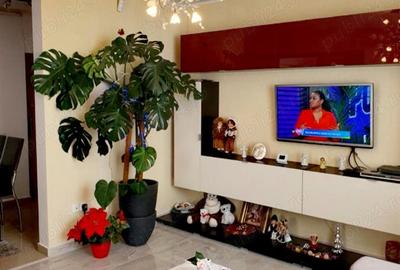 Ap. De vanzare in Vila in Bran 2 camere. - 3