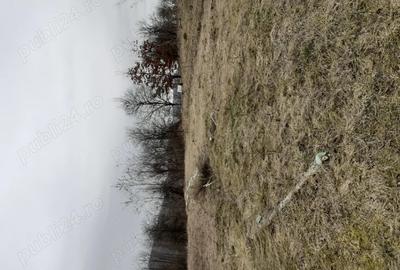 Casă în Central - 9