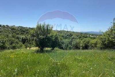 Teren Intravilan 3000 mp in Valea Mare-Pravat la Super Pret - 4