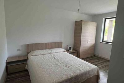 Casă cu 4 camere cu Teren 3808 Mp în Mestecăniș - 9