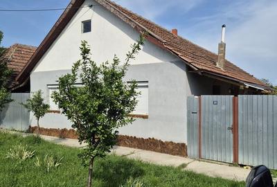 Casă cu 4 camere cu Teren 1098 Mp în Chișineu-Criș - 8
