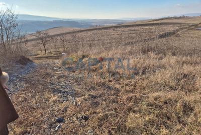 Teren intravilan, 1 000 mp, zona Tausor - 5