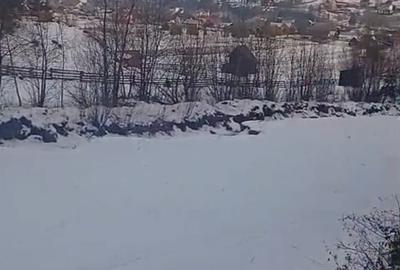 Teren extravilan de 8179 mp, în Cârlibaba Nouă - 6