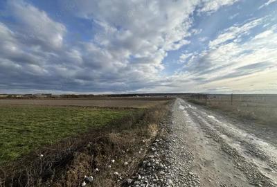 Teren de 11510 mp, în Cihei - 2