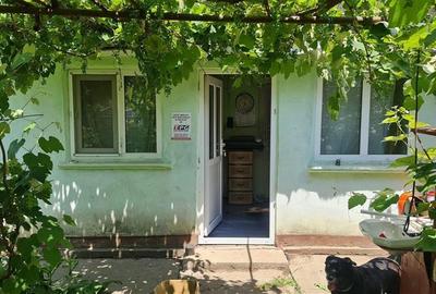 Casă individuală cu 2 camere cu Teren 1711 Mp în Topraisar - 3