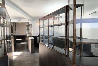 Spațiu comercial, de 165 mp, în Plopilor - 13