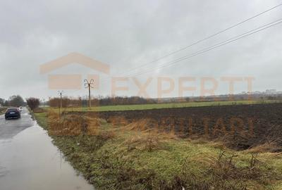 Teren Construcții extravilan de 5000 mp, în Lumina - 4