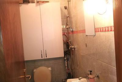 Apartament cu 3 camere decomandat, mobilat în Plevnei - 14