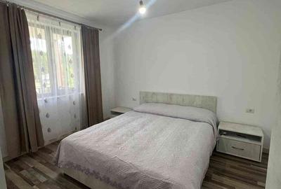 Casă cu 4 camere cu Teren 3808 Mp în Mestecăniș - 6