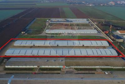 De vânzare – 2 hale industriale, 5.050 mp utili, Palota - 4