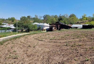 Teren intravilan 5000 m si casa Odaia Manolache. - 1
