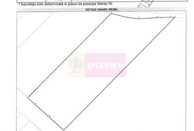 Vanzare teren intravilan agricol in zona Mihailesti, Giurgiu - 4