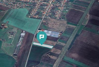 Teren arabil intravilan 10.333mp - Livada - 4
