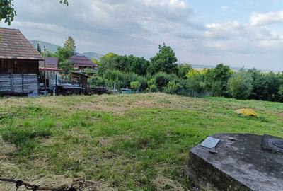 Spațiu comercial, în Moldovenești - 2