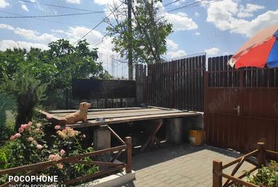 Casa Techirghiol - 6