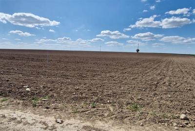 Teren intravilan de 13000 mp, în Periferie - 4