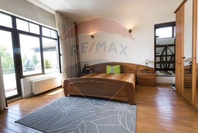 Casă individuală cu 7 camere cu Piscina în Izvorani - 7