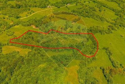Comision 0 %/ Teren extravilan 18,800mp Sinca Noua / Zona SECI