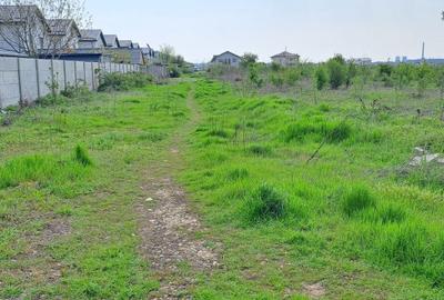 Teren Construcții intravilan de 2500 mp, în Dragomirești-Deal - 4