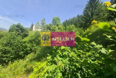 Teren de vânzare în Bușteni - Zona Zamora - 2