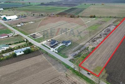 Teren intravilan 10869mp Mircestii Vechi / DJ 204E - 2