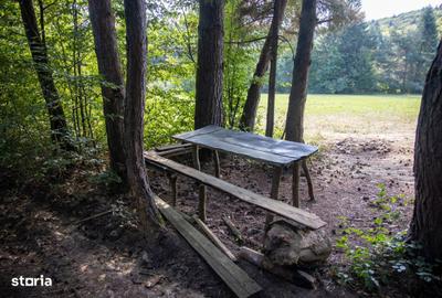 Spațiu comercial, în Vulcan - 14