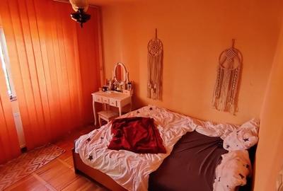 APARTAMENT 2 CAMERE LIPOVEI - 7
