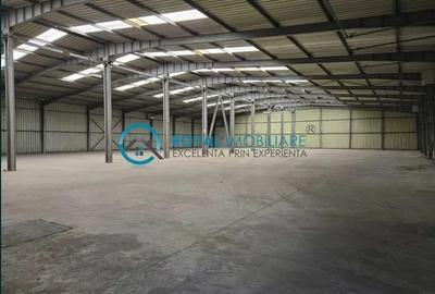Royal Imobiliare - Inchiriere spatiu industrial zona Exterior Vest - 3