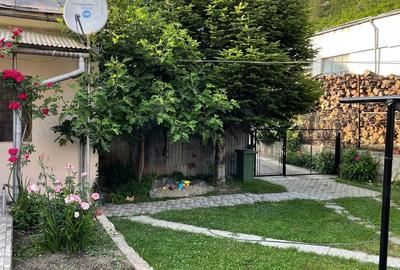 Merita vizionata - casa la munte, loc. Nadrag - 6