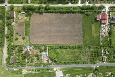 Teren Intravilan de 3,090 mp in Cuvin - 12