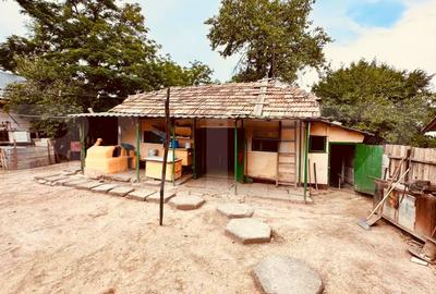 Casa batraneasca de vanzare, cu anexe, 2900 mp teren, zona Pausesti - 4