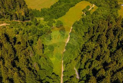 COMISION 0% Teren Bradet 7300 + 6000 mp/ Sacele /Intravilan - 6