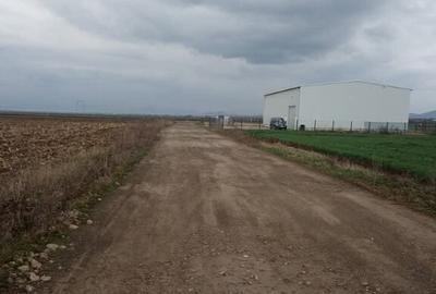 De vanzare terenuri intravilane intre Chilieni si Ozun - 2