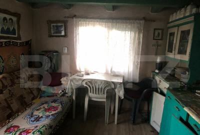 Casă cu 2 camere cu Teren 1500 Mp în Central - 3