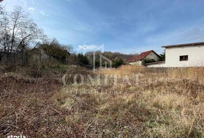 Teren de 800 mp, în Făget - 3