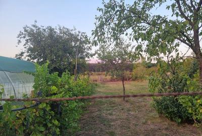 SADINA / GR - CASA P+1+M (5 CAM) DE VANZARE - 3