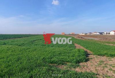 Teren Construcții intravilan de 10000 mp, în Săcălaz - 3