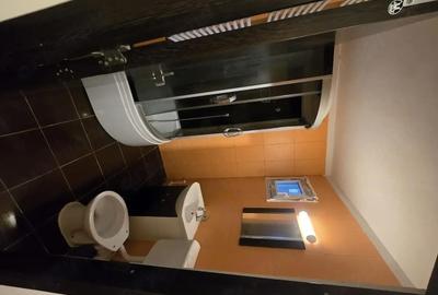 Apartament cu 2 camere decomandat în Giurgiului - 6