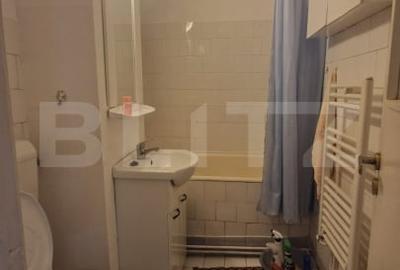 Apartament cu 2 camere, etaj intermediar, luminos, circular vedere superba Noua - 8