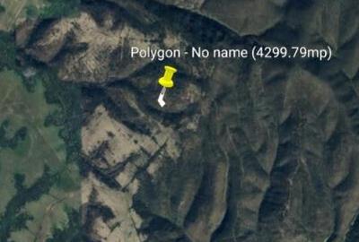 Teren 4300mp in Boc?a - 3