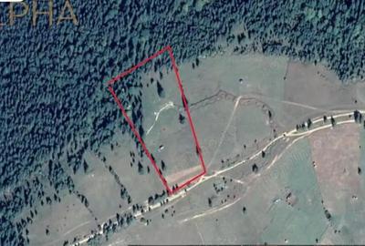 Teren de 27020 mp, în Piatra - 6