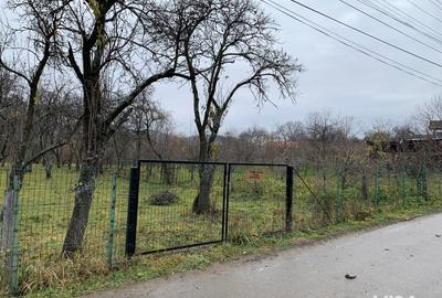 Teren de 1500 mp, în Corbi - 3