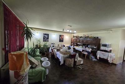 Casă cu 6 camere cu Teren 4000 Mp în Vedea - 5