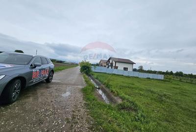 Teren Construcții intravilan de 1495 mp, în Dobreni - 2