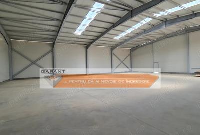 Hala Industriala, depozit, Bradu, DN 65B, S=585 mp, H=6 m - 4